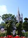 Alex-DAB-DisneyWorld-97