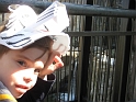 Alex_ZooFeb2009-15