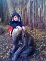 MonkeyOrElephant