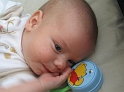 Alex9wks06
