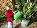 FL_D-Zoo-1