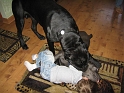 FL_DelandZoo-1