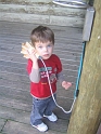 FWZoo-20