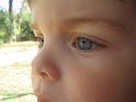 FWZoo-5