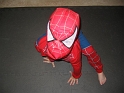 SpiderDude-1