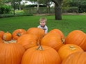 Arboretum_Oct05-10_Medium
