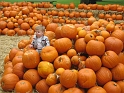 Arboretum_Oct05-2_Medium