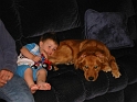 ChewiePillow_Medium