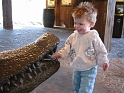 FTW_Zoo-34_Medium