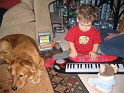 LilBeethoven_Medium