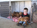 TXCountry-HanginWPups-26_Medium