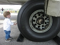 WingsNWings05-30_Medium