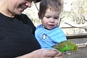 Zoo12-05-15_Medium