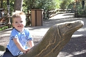 Zoo12-05-29_Medium