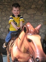 Zoo_Again-9_Large