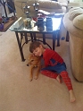 Spidey'sBuddy