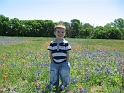 BlueBonnets_2007-13