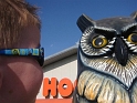 Hooters5-2006-2_Medium