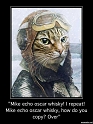 MikeEchoOscarWhiskey