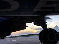 MCO-GoHomeLeg_06-2022 (1)
