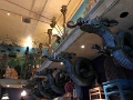 MCO_UnivStudios_02-2022 (29)