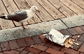 PWM-DowntownScenes_2022-07 (27)