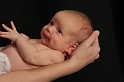 Cradle
