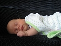 LazyGirl-1