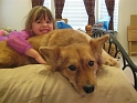 Jess_ChillinWChewie