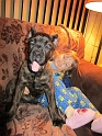 Jess_Annie