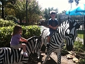 Kids_RacingStripes