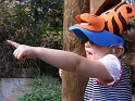 FWZoo_Lions-Jess