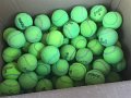 Alex_Balls_2016