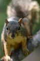DALZoo_7-2016-DSC_4220