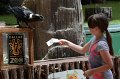 DALZoo_7-2016-DSC_4388