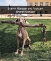 BranchMngr