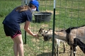 DSC_0710_TXMonarchFarm
