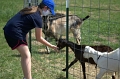 DSC_0711_TXMonarchFarm