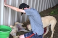 DSC_0726_TXMonarchFarm