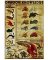 Dragons