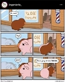 HalfOffHaircut