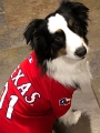 Zoey-Rangers_2020