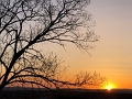 IMG_3001_SMART-IV
