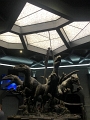 IMG_7058_SMART-V_2021