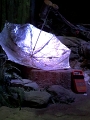 IMG_7190_SMART-V_2021
