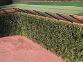 IMG_7652_SMART-II_FAST-II