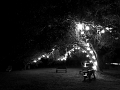 IMG_E6730_SMART-V_2021