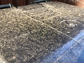 AlergiesAnyone_TX-2022-04 (1)