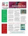 AlexFIRSTrecap_2022-05 (7)
