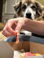 Alex_PizzaTime_2022-11 (8)